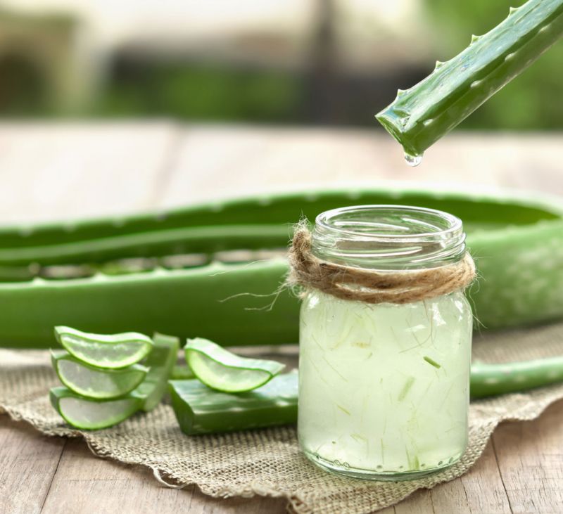 Cách Detox Giảm Cân Bằng Nha Đam
